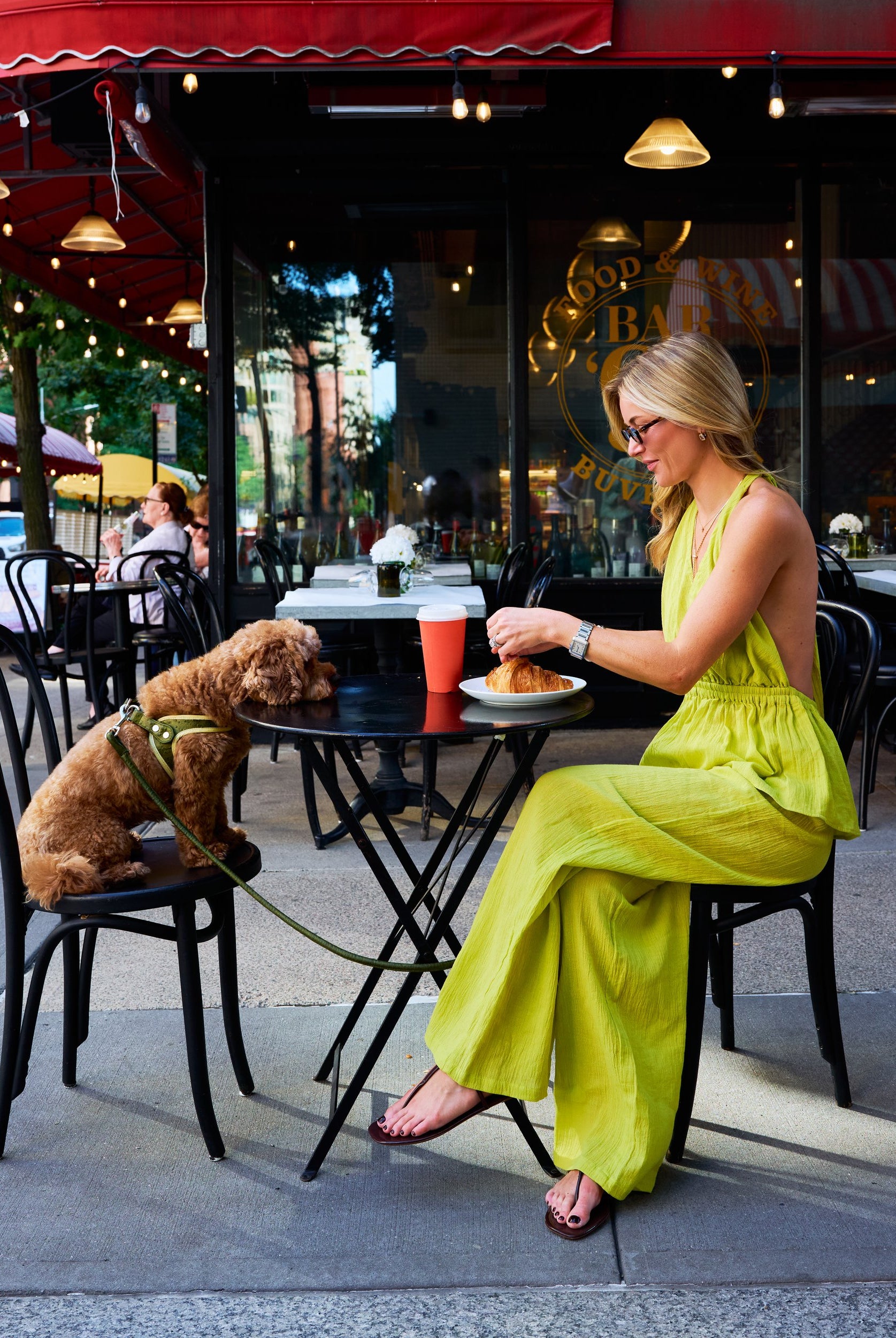 Natalie Simkins in olive brine Carlyle Set at NYC sidewalk cafe reaching for a croissant, her dog beside her