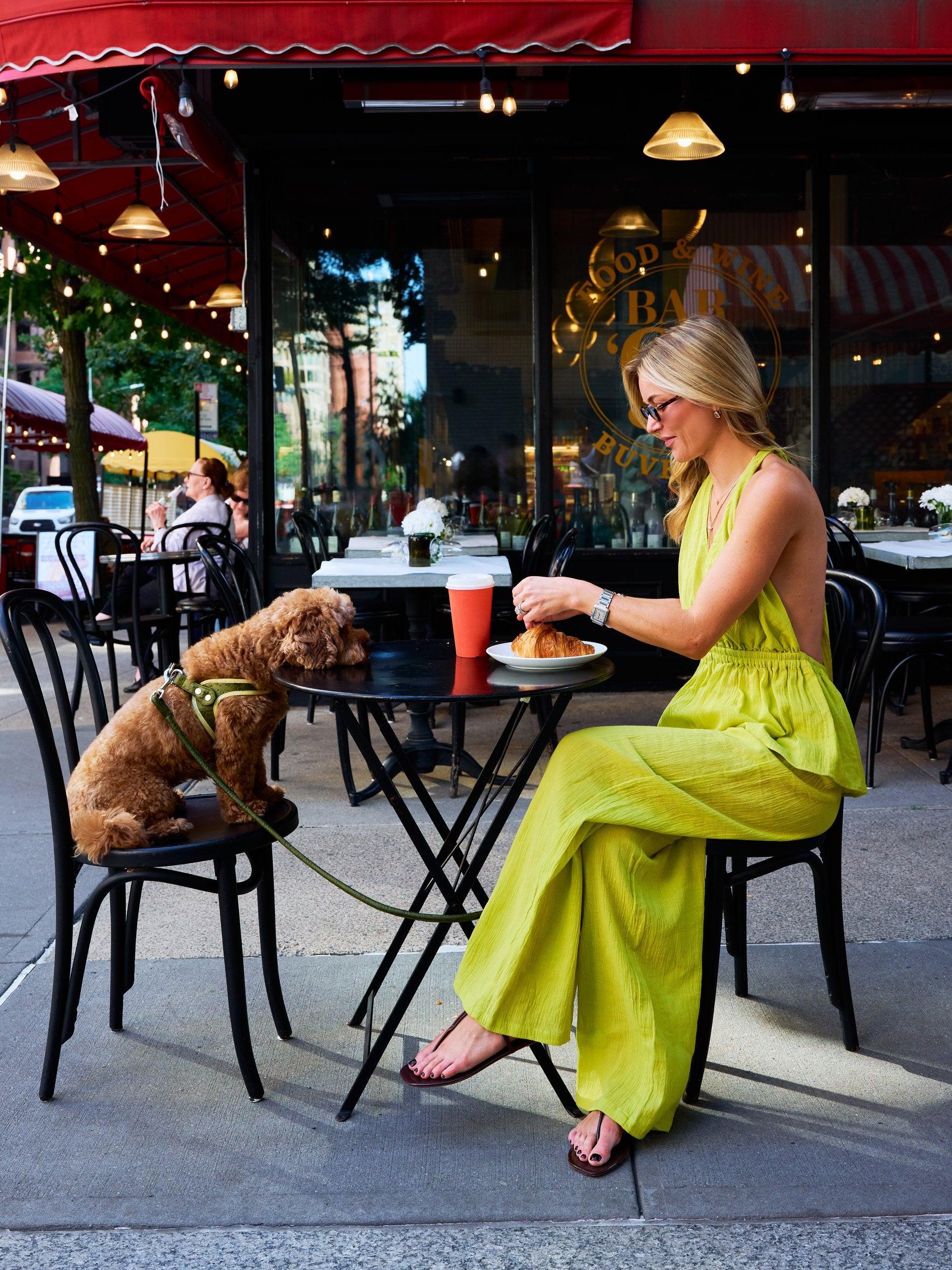 Natalie Simkins in olive brine Carlyle Set at NYC sidewalk cafe reaching for a croissant, her dog beside her